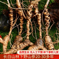 Fresh ginseng Changbai Mountain boutique forest ginseng 20 years old mountain ginseng wine Changbai mountain ginseng 30 years first class ginseng