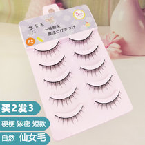 UAmy is suitable for small eye shorts false eyelashes female natural hard black stalks with double eye leather cute Barbie Fairy Hair R2