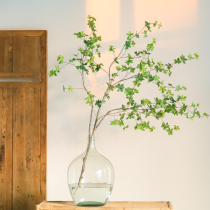 Nordic simulation green plant single Japanese hanging bell branch plant horse drunk wood branch flower arrangement indoor desktop living room decoration