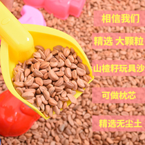 100 Jin Hawthorn seed toy sand instead of cassia seed Children Baby sand large particles washable plant seeds