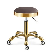Stainless steel brushed beauty stool lifting rotating barber shop master chair makeup nail art stool hair stool explosion proof