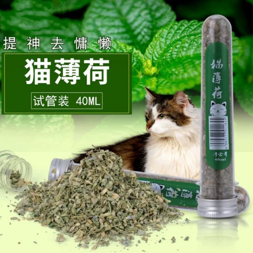 Кошачий мятный порошок 40 мл из продуктов кошки для мятно