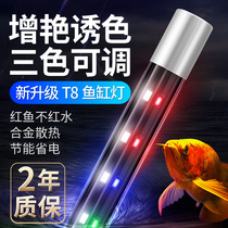 Fish tank light LED light waterproof and colorful lighting light dragon fish aquarium special small T8 water grass lamp tube