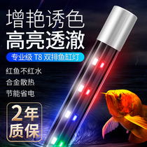 Fish tank light led light waterproof super bright bright three primary colors T8 lighting small lamp for Arowana aquarium box