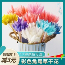 Dried flowers reeds small fresh ornaments decorative ornaments living room bouquets Nordic simulation flower arrangements wheat ears rabbit tail grass