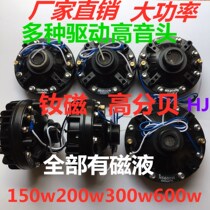 Outdoor Horn Broadcasting 150W200W300W500W High Power Super tweeter Drive Sound Head Neodymium Magnetic Backseat