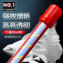 NY butterfly carp special blue and white lamp fish tank ultra-white led lamp Full spectrum waterproof diving lamp brightening lamp cm