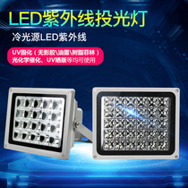 365 395 High power LED UV curing lamp Shadowless glue Green oil photosensitive glue LCD screen UV curing lamp