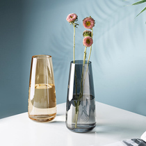 Modern housewife vase living room flower arrangement transparent glass dried flowers ins water culture light luxury high-grade Nordic ornaments