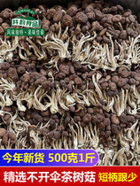New arrival tea tree mushroom without umbrella 500g Jinggang shiitake mushroom dry goods super short tea mushroom Jiangxi farm specialty 1 catties