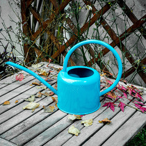 Sprinkler water pot watering pot water bottle pastoral countryside export Europe America Japan and South Korea iron Garden horticultural fleshy slender mouth medium