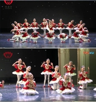 Childrens tutu performance suit tutu puffy yarn dress Little Swan toddler suspender dance dress performance costume female