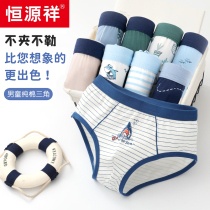 Hengyuanxiang boys briefs cotton summer thin style medium and big children fat children boys childrens shorts