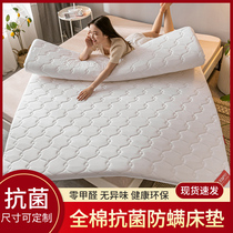 Cotton antibacterial anti-mite mattress cushion household tatami mat quilt single double sponge mat custom size