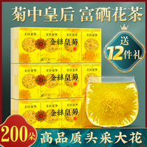 Chrysanthemum tea golden silk Emperor chrysanthemum yellow chrysanthemum a cup of tea Huangshan big gong chrysanthemum Super Tea flagship store
