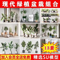Modern Nordic Indoor Floral Green Plant Potted Bonsai Pendulum Pieces Combined Plant Cactus Sketch Master SU Model