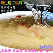 Tongjiang white fungus dry food baswood fresh sulfur-free snow ear soft waxy lotus seed soup special grade natural wild white fungus