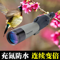 American Star Tran Monocular C20-60X80B Bird Mirror can be attached to the camera Ordinary telescope nitrogen-filled waterproof