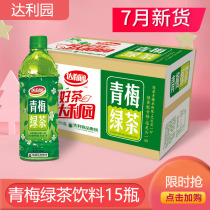 Dali Garden plum green tea Fruity tea Juice tea drink 500ml*15 bottles whole box sweet and sour summer cool