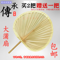 Fan Big Busfan Plantain Fan fan Sunflower Fan fan Old Fashioned Artisanal Busgrass Fan Painting Fan Zongzi Leaf Barbecue Fan