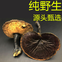 (Source Baozheng) Pure Zizhi wild purple Ganoderma lucidum black Ganoderma lucidum not bitter 250 grams of dry products