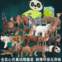 Simulation animal model set dinosaur toy forest safari Marine underwater world static ornaments