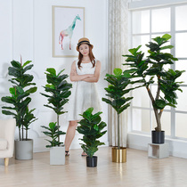 Nordic simulation of Qinye potted plants indoor ornaments green plants large bonsai fake flowers ins home living room decoration