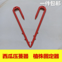 Watermelon seedling holder pressure seedling fork holder Strawberry fork pressure vine root Strawberry melon melon seedling vine pressure vine pressure vine pressure vine pressure vine pressure vine pressure vine pressure vine pressure vine pressure vine pressure vine pressure vine pressure vine pressure vine pressure vine pressure vine pressure vine pressure vine pressure