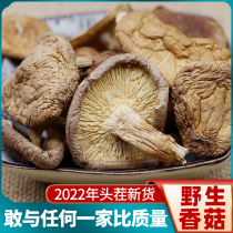 Yunnan Tut-producing pure wild mushrooms came to dry cargo special-grade sisters direct sowing room commercial bacteria mushroom soup material small