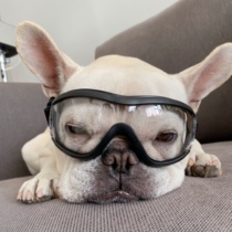 Pet dog glasses French cross-eyed glasses Pago goggles Bullfighting Motorcycle motorcycle glasses Photo headdress