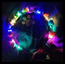 New luminous headband rattan wreath headdress Colorful led lights small flowers Childrens night market stalls with lights toys