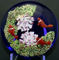 Vitality clownfish anemone aquarium art glass paperweight ornaments study Crystal desktop crafts