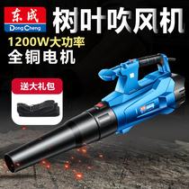 Dongcheng leaf blowing hair dryer high-power ash cleaning soot blower industrial electric dust remover 220V blast power