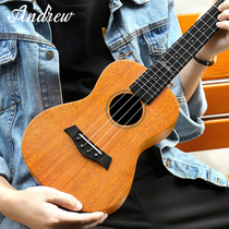 andrew andrew 23 inch veneer ukulele 26 inch student female boy ukulele small guitar gift