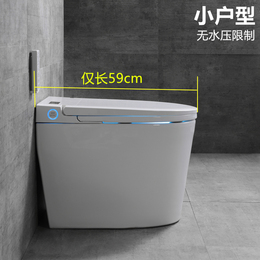 German small apartment mini smart toilet short full automatic small size space without pressure limit toilet
