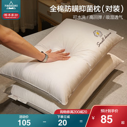 Boyang pillow core a pair of household pillows dormitory washable cotton double neck pillow adult anti-mite pillow core