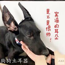 Dog Ear Orbit Puppy Ear Doberman Corky Black Wolfdog Pet Dog Ear Sticker