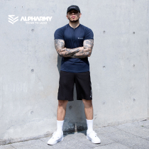 Alphabet semi-zipped sports blouses male speed dry short sleeve T-shirt fitness trainer stand-up polo shirt casual wear