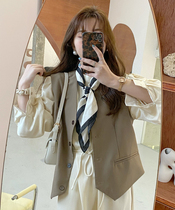 Berry likes you and likes big Pang custom exquisite fashion loose vest crisp v-neck brown suit vest woman