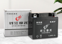 Motorcycle battery 12V9A battery maintenance-free 125 dry battery accessories 12V battery 6 5 amp batteries