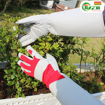 Monthly anti-thorn gloves gardening pruning thorn weeding weeding planting thickening planting pruning flower tools