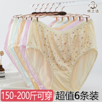 Old aged underwear in old age enlarged fat mm triangle pants pregnant womens underwear old ladys pure cotton shorts 160-200 catty