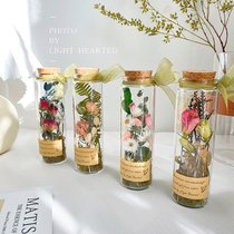 Eternal Flower Glass Test Tube Dried Flower Plant Specimen Ornament Boudoir Honey Girl Day Lover Tanabata Teacher Holiday Gift