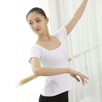 Dance suit practice clothing Female adult square collar short-sleeved t-shirt half-sleeved dance suit white slim long-sleeved top