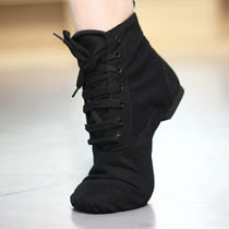 Gao Jazz dance shoes Womens soft bottom practice shoes mens folk dance shoes yoga shoes indoor teacher jazz boots non-slip