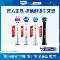 (Store broadcast exclusive discount) oral-b European Le B adult electric toothbrush universal replacement toothbrush head small round head