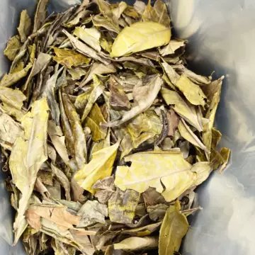 磻溪荒野老树寿眉-磻溪荒野老树寿眉促销价格、磻溪荒野老树寿眉品牌- 淘宝