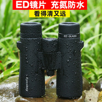 ED high-definition binoculars low-light night vision professional search for Bee watching Moon 10x42 nitrogen-filled waterproof handheld