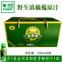 Yunnan specialty Yizhou brand Yunnan olive olive juice 100ml * 8 bottles of Eggani juice sugar-free beef orange fruit sweet beverage