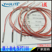 PT100 Thermal resistance diameter 2mm3mm4mm5mm temperature probe 2-wire PT1000 temperature sensor